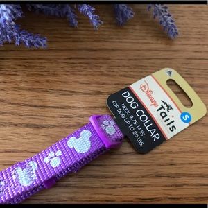 Dog Collar Purple with Mickey